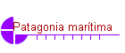 Patagonia martima