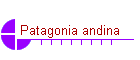 Patagonia andina