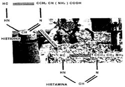 Estructura química de la histamina
